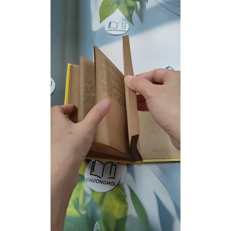 [MIỄN PHÍ BỌC SÁCH] La Petite Fadette - George Sand 749583