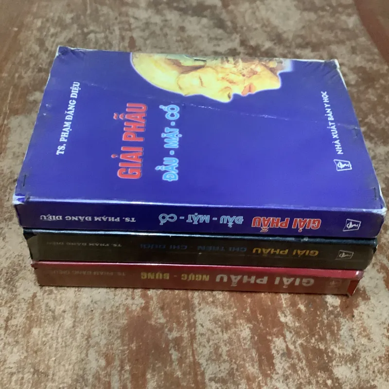 COMBO GIẢI PHẪU ĐẦU MẶT CỔ- GIẢI PHẪU NGỰC - BỤNG & GIẢI PHẪU CHI TRÊN- CHI DƯỚI 777340