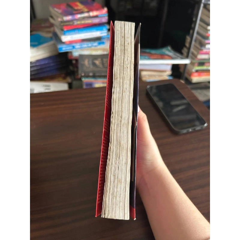 Nhìn Ngược Từ Nóc Nhà Đông Dương - Đỗ Doãn Hoàng 931990