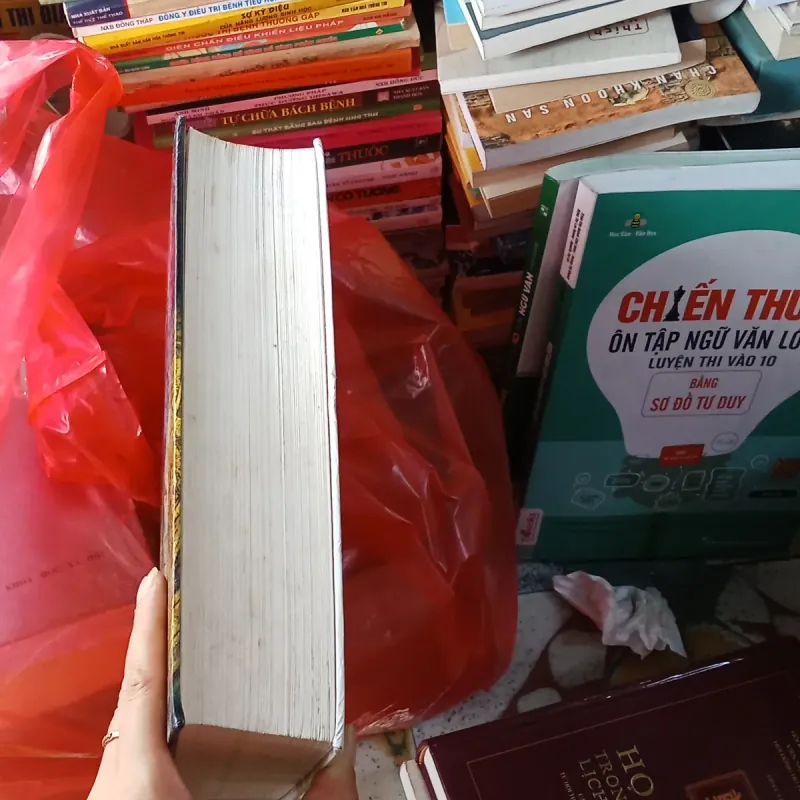 Đại Cương Lịch Sử Việt Nam Toàn Tập - GS. Trương Hữu Quýnh  1002373