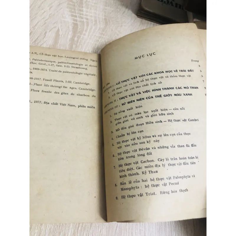 GIỚI THỰC VẬT TRONG LỊCH SỬ TRÁI ĐẤT 956903