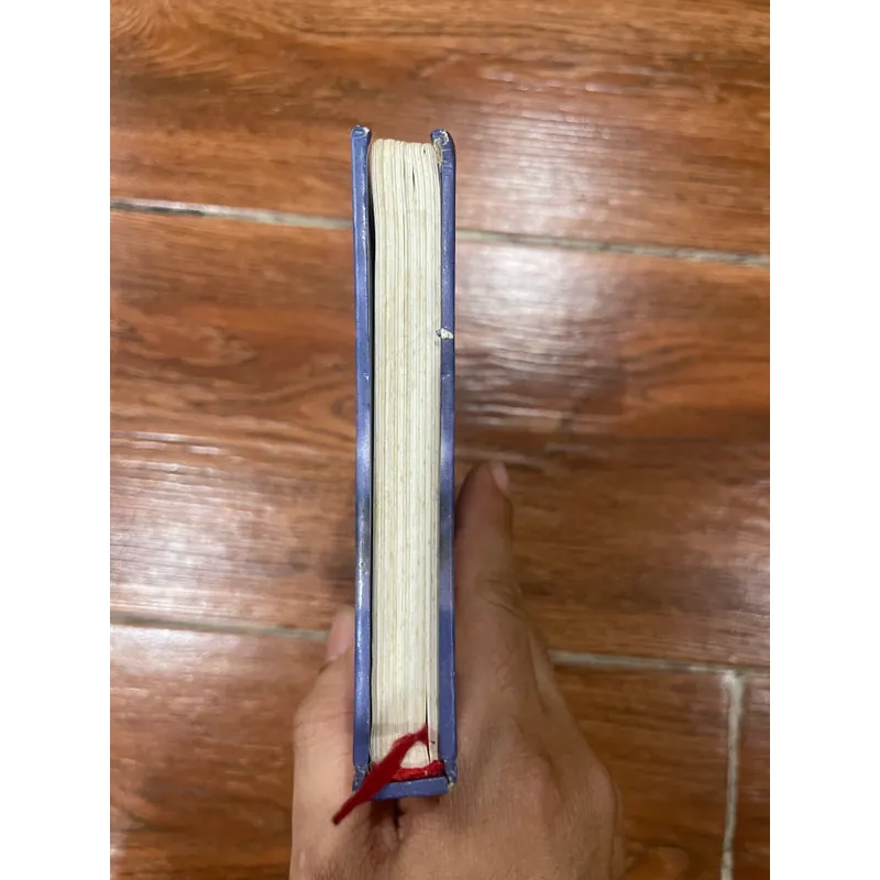 Đất rừng phương Nam (9) 558137