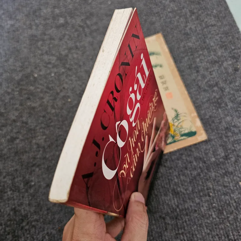 Cô gái và hoa cẩm chướng 734461