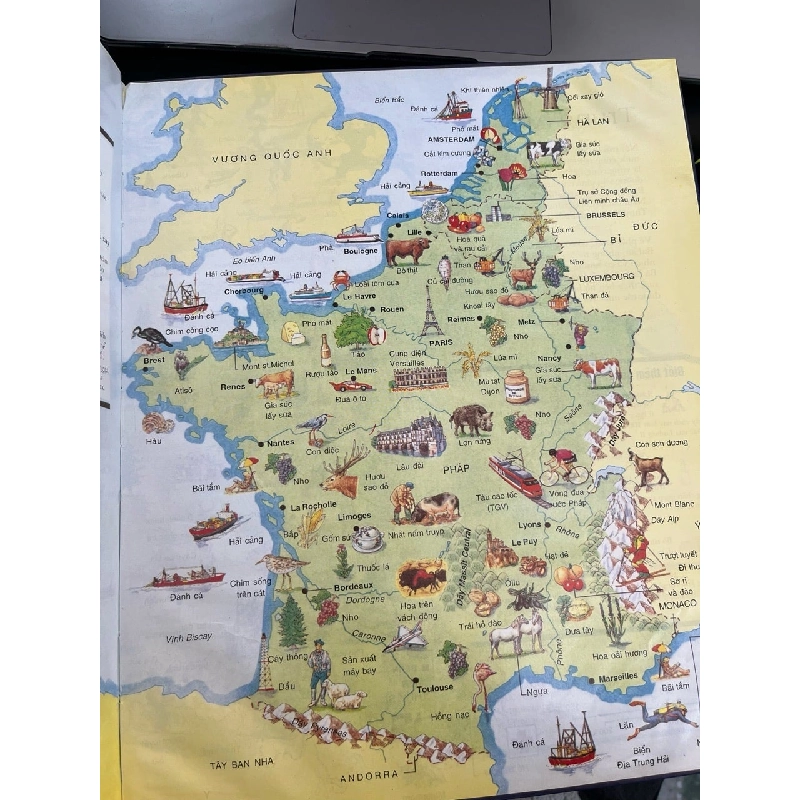 Bản đồ vàng dành cho trẻ em 992560