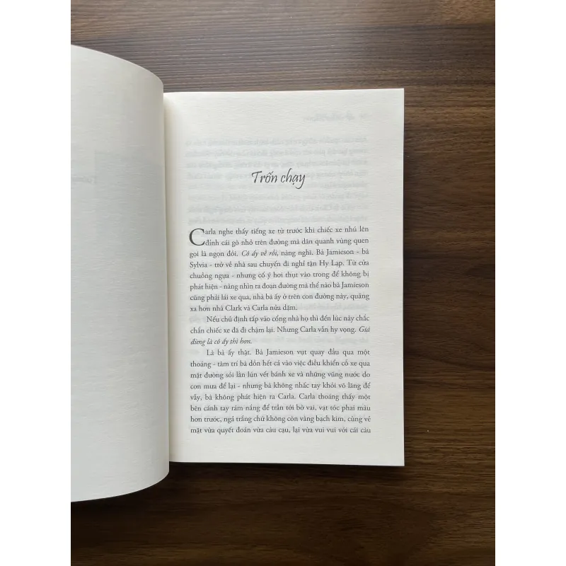 Trốn chạy - Alice Munro 975001