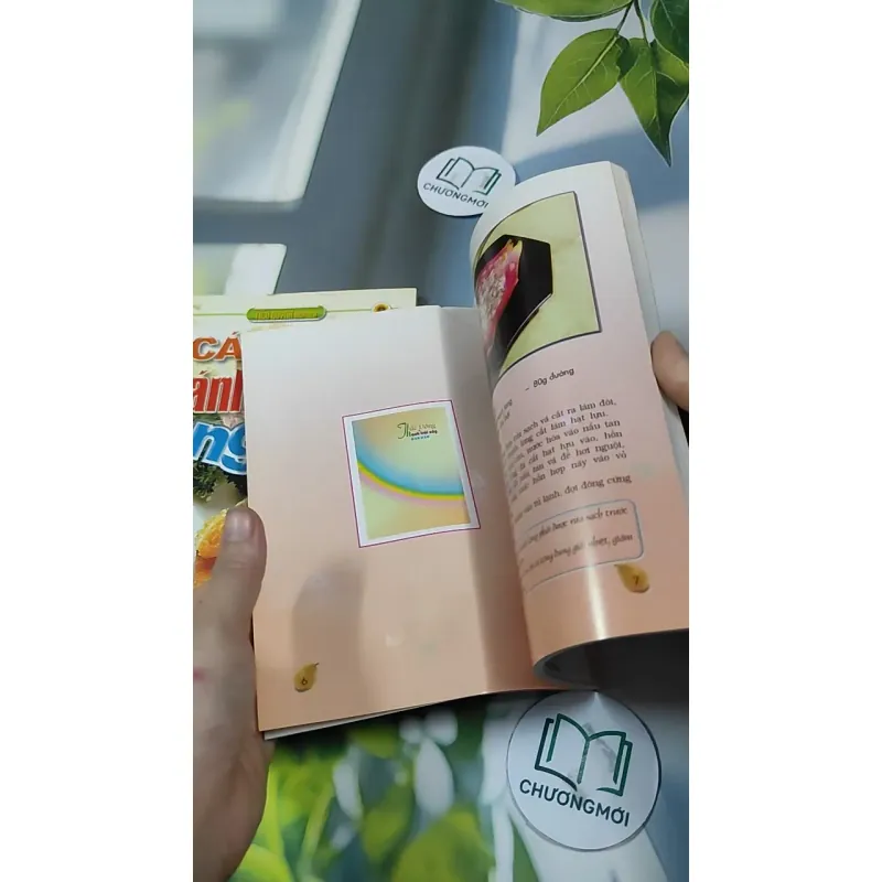 Combo Ẩm Thực: Cách Pha Chế Cocktail, Các Món Cá & Mực, Món Ăn Cho Người Bệnh Tim, Các Mó 727323