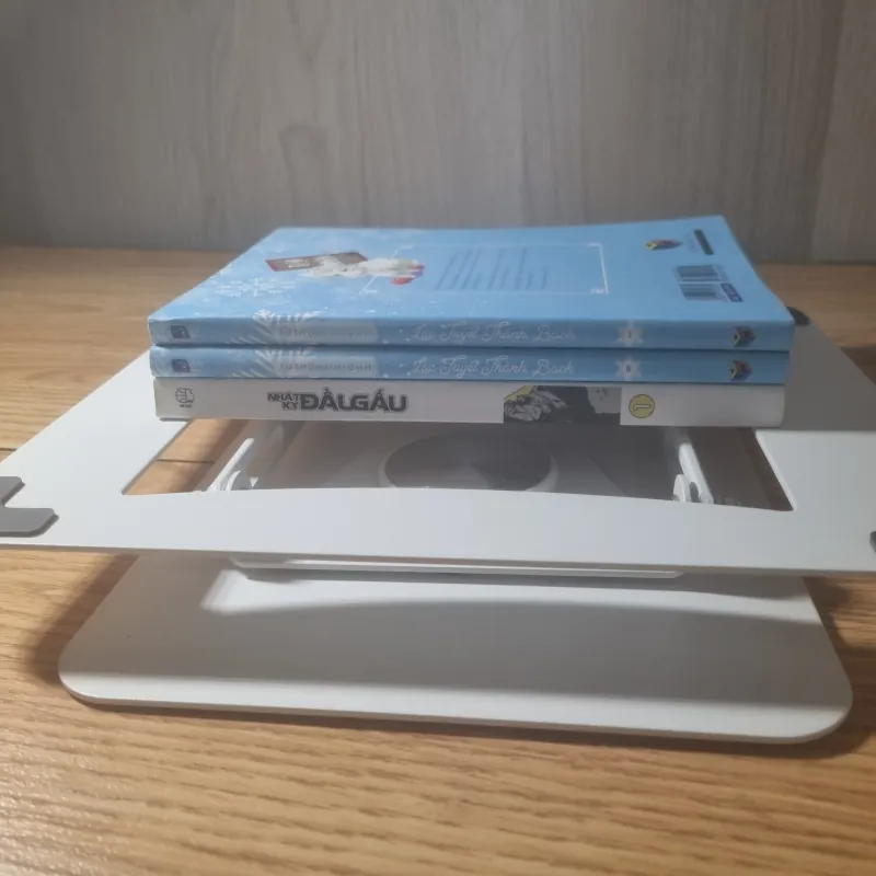 [Combo BL] Lạc Tuyết Thành Bạch (Tập 1 & 2) + Nhật ký đầu gấu 762393