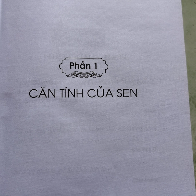 Sách Hiệu ứng hoa sen 502714