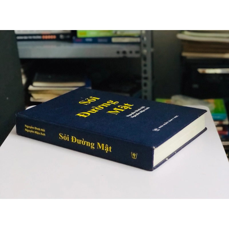 📚 SỎI ĐƯỜNG MẬT – Nguyễn Đình Hối, Nguyễn Mậu Anh 539457