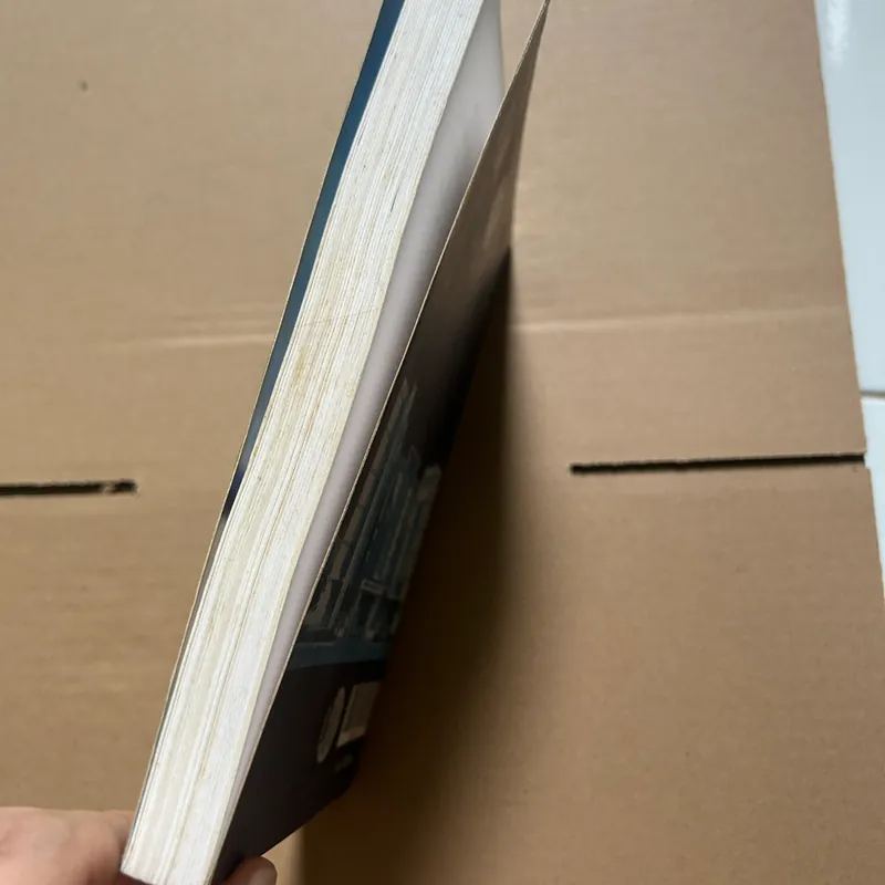 Giáo trình mhuwngx quy định chung về luật dân sự 621611