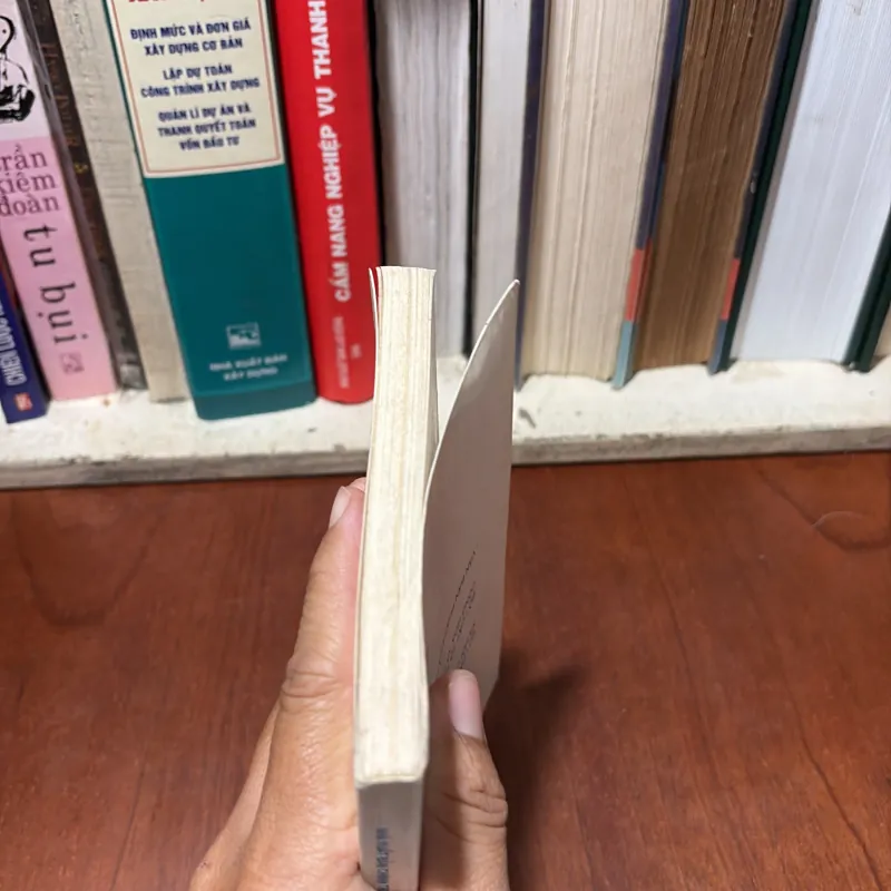 Sách Luật: Trách Nhiệm Hình Sự Đối Với Các Tội Phạm Về Ma Tuý - TS. Trần Văn Luyện - 2000 748203