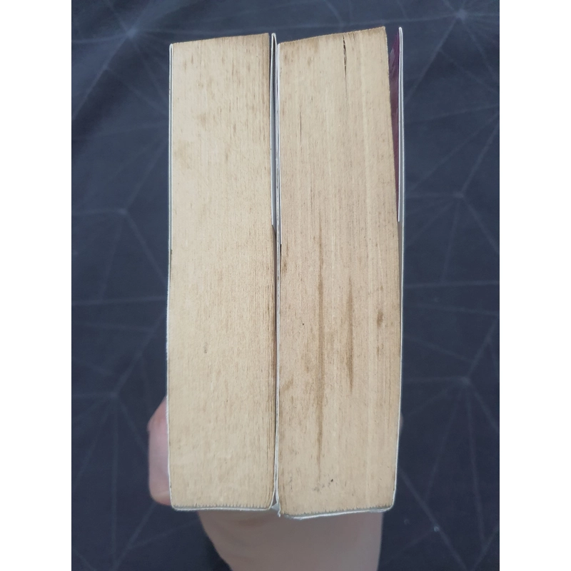 Combo "Mưa nhỏ hồng trần" 2 tập- Trang Trang 476768