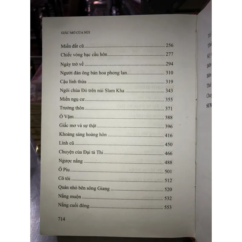 Giấc mơ của núi - Đoàn Ngọc Minh 779022