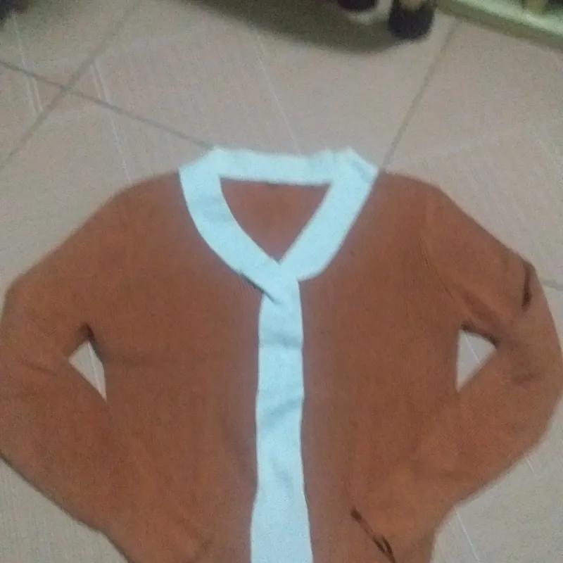 Áo len kiểu nữ tay dài 755191