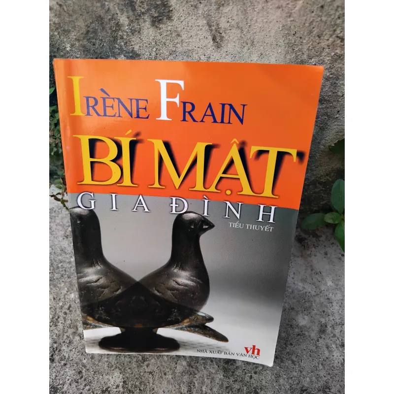 Bí mật gia đình tiểu thuyết của Irène Frain  1005704