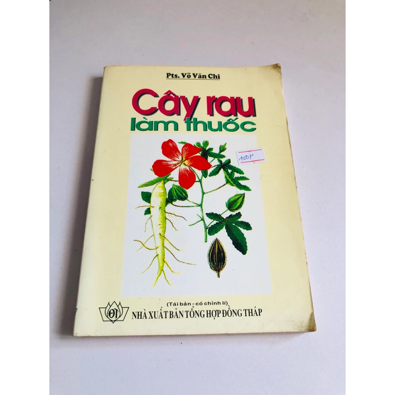 CÂY RAU LÀM THUỐC  548617