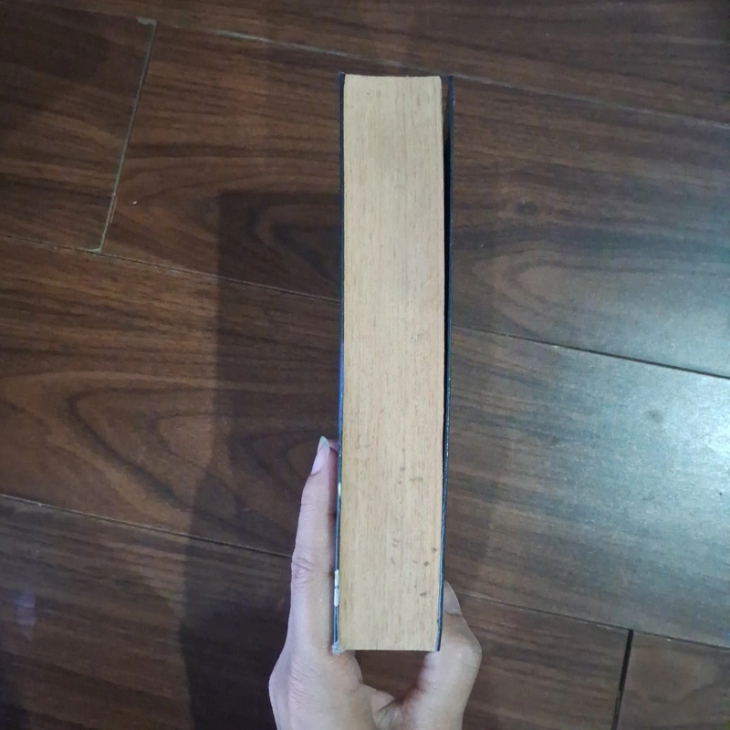 Tương lai khác thường 530248