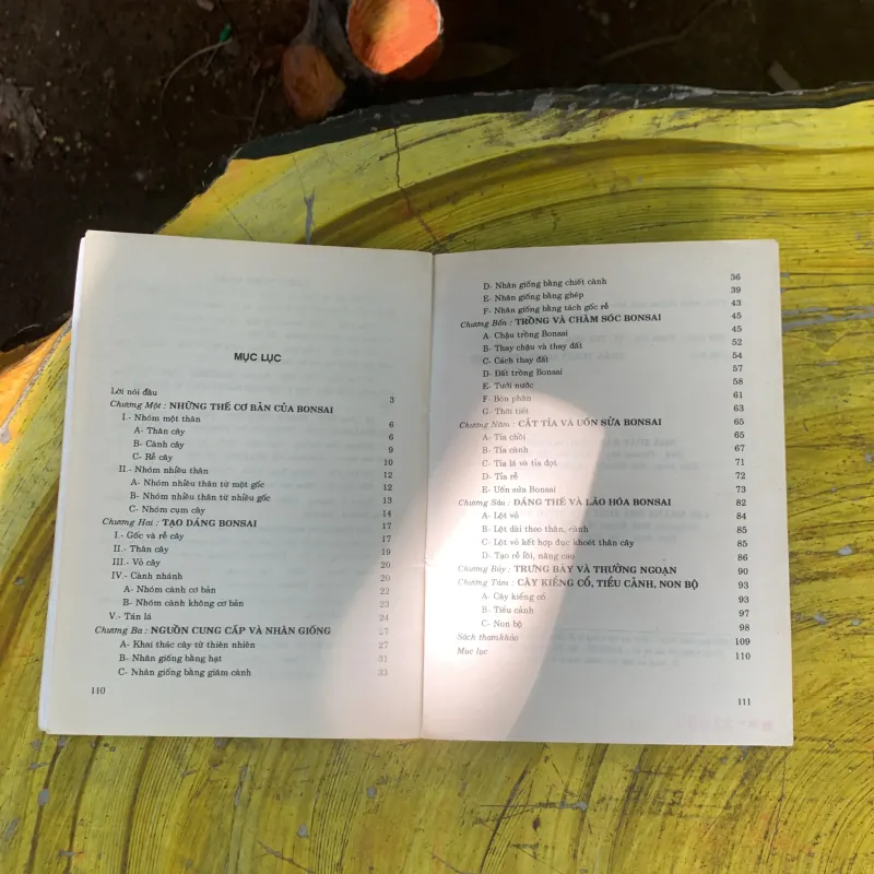  COMBO BONSAI CÂY DÁNG, THẾ VÀ NON BỘ & BONSAI CÂY KIỂNG CỔ 752666