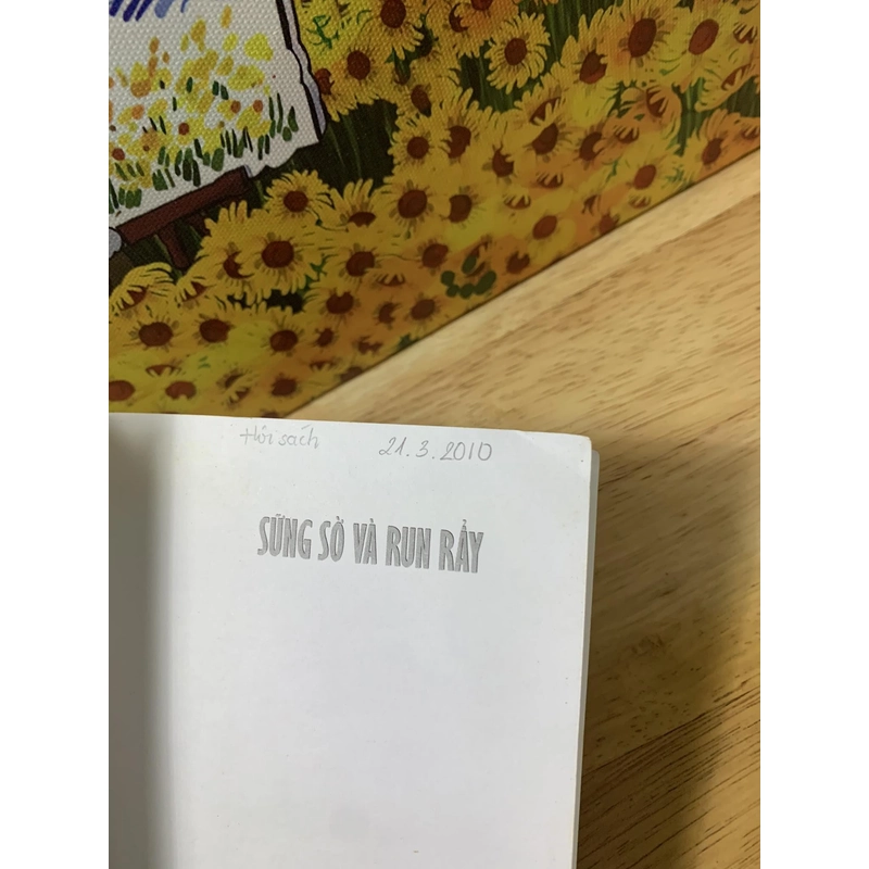 Sững Sờ và Run Rẩy - Amelie Nothomb 542037