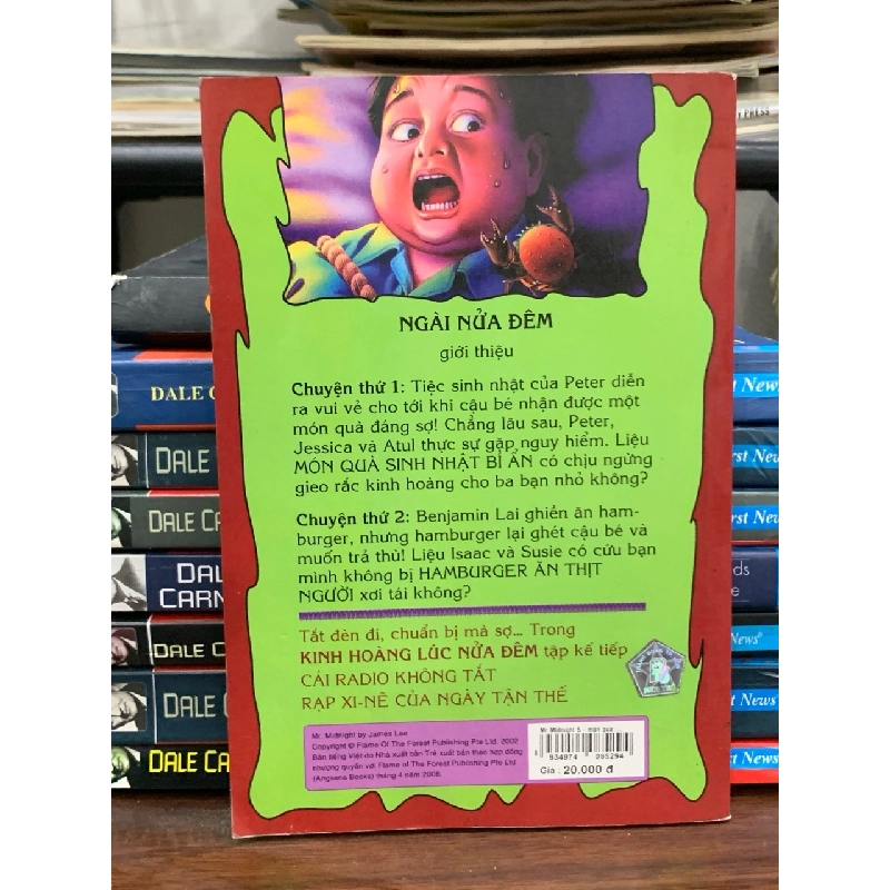 Mr Midnight: Món quà sinh nhật bí ẩn — James Lee 762137