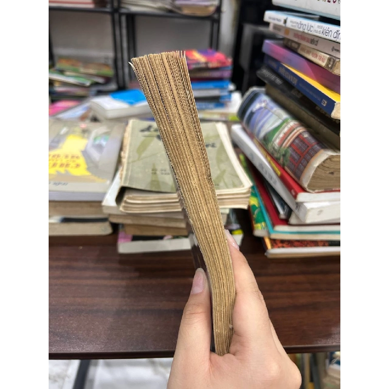 Con Đức Mẹ - Lữ Giang 932043