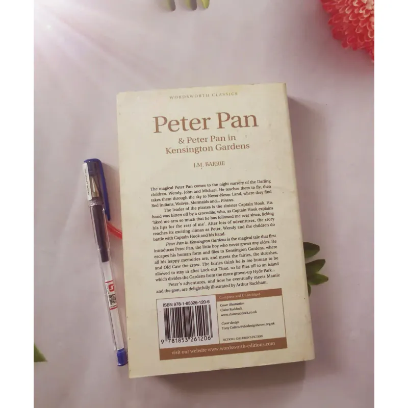 Peter Pan & Peter Pan in Kensington Gardens 1002048