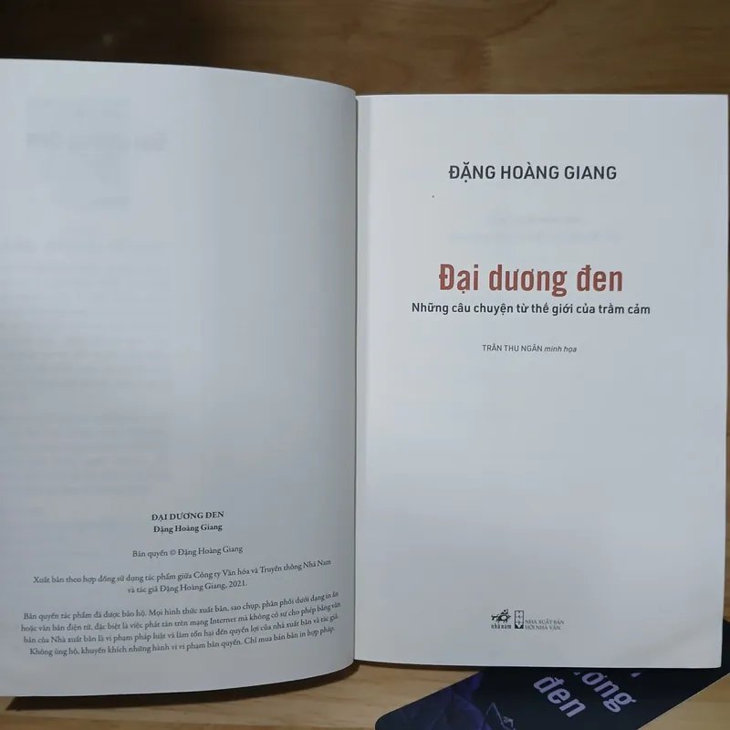Đại Dương Đen (Những Câu Chuyện Từ Thế Giới Của Trầm Cảm) - Đặng Hoàng Giang 560968