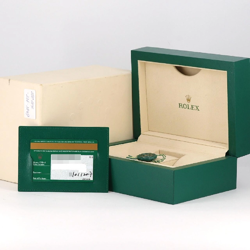 Đồng hồ Rolex Datejust 116231G SSxPG tự động - Hàng hiệu chính hãng 880361