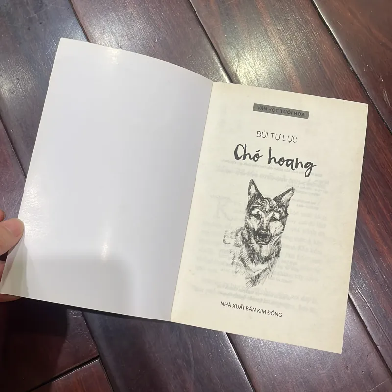Văn học tuổi hoa - CHÓ HOANG - BÙI TỰ LỰC nxb KD 2017  1026002