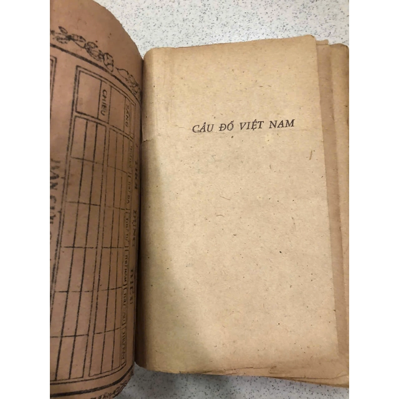 CÂU ĐỐ VIỆT NAM - Nguyễn Văn trung 455771