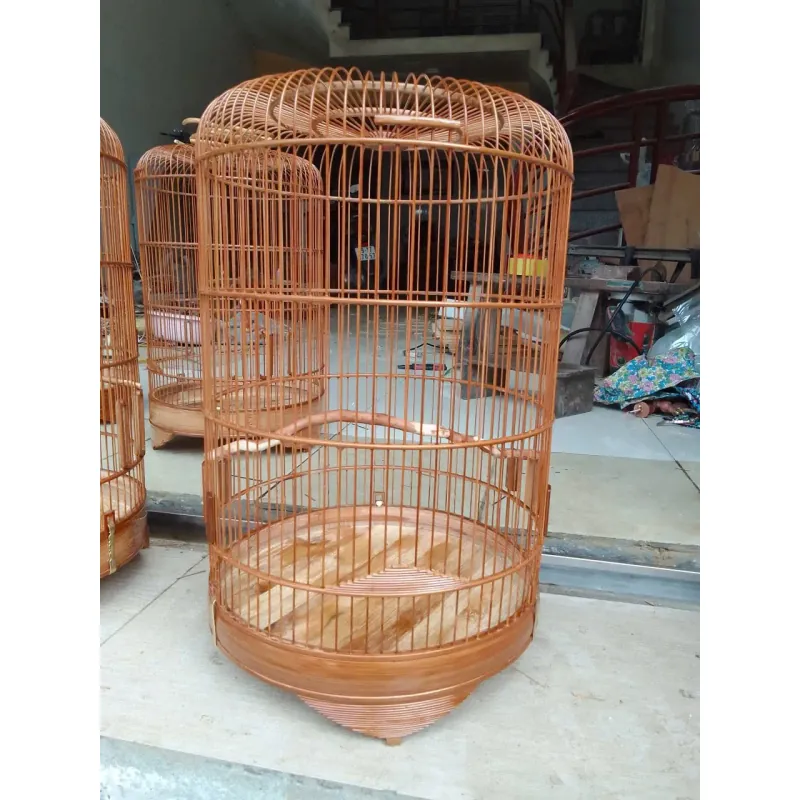 lồng yến. tiểu mi. chòe đất  1027644