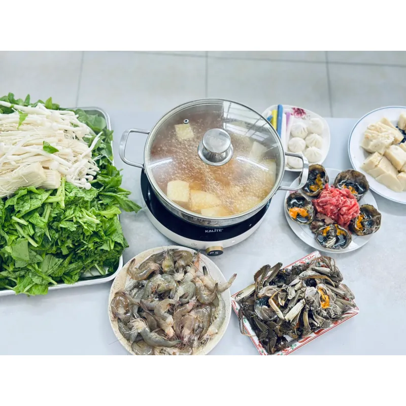 Bếp từ đơn Kalite Power S8 745783