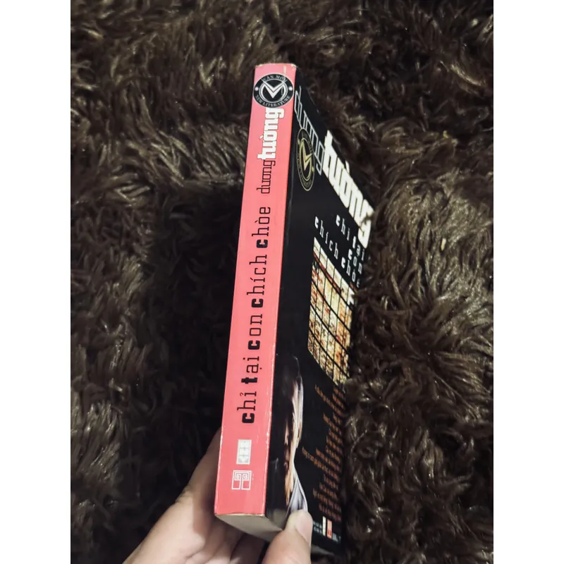 Chỉ tại con chim chích choè 719073