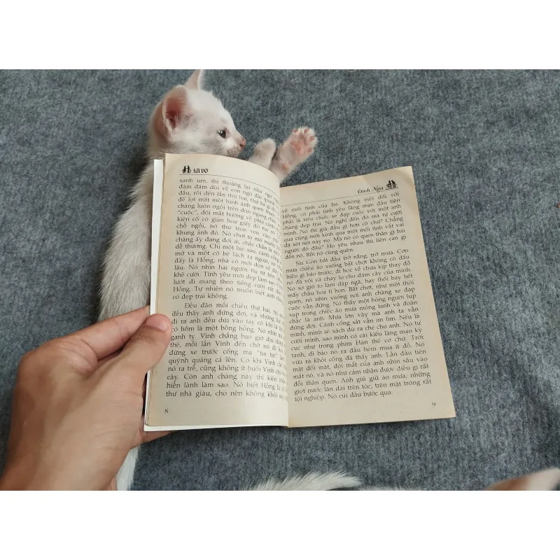 LÁ VỠ - ĐINH NGA 567791