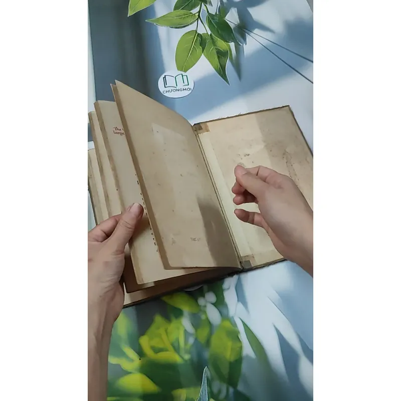 Clocks Tell the Time - Ocean House 750750