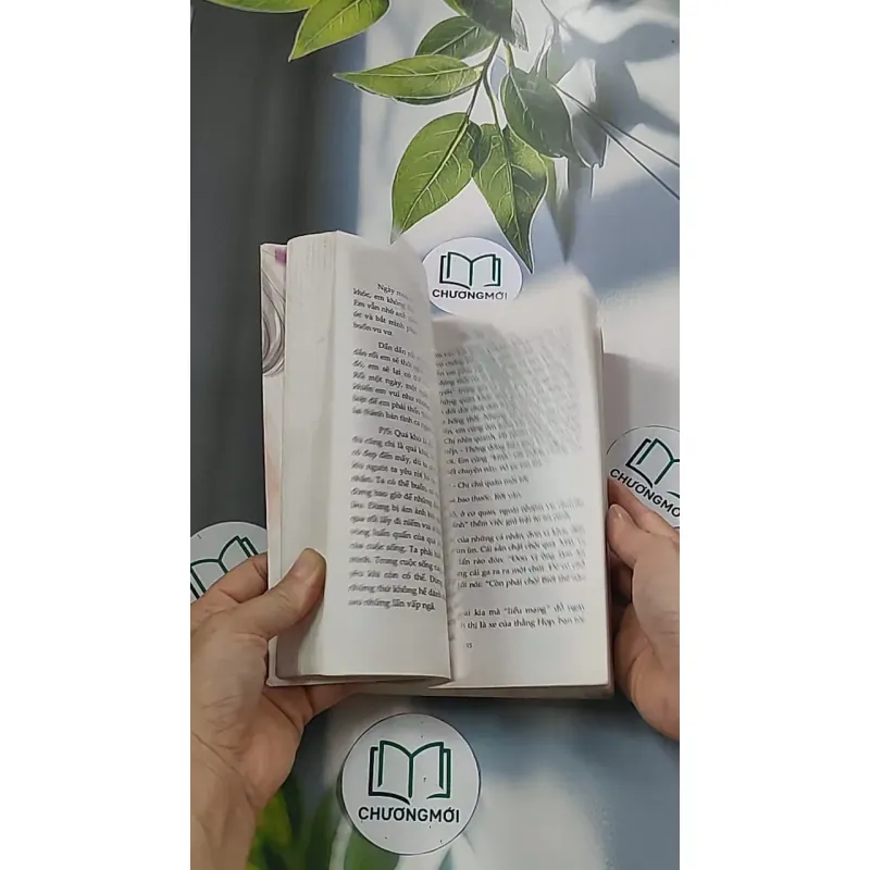 Vị nụ hôn 688654