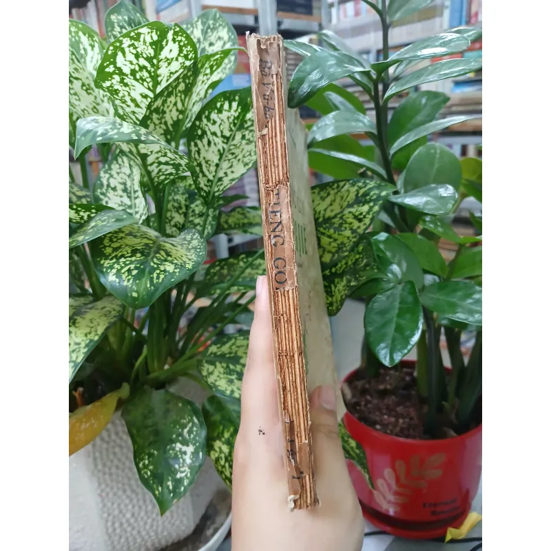 TIẾNG GỌI ĐỒNG QUÊ TẬP 1 589043