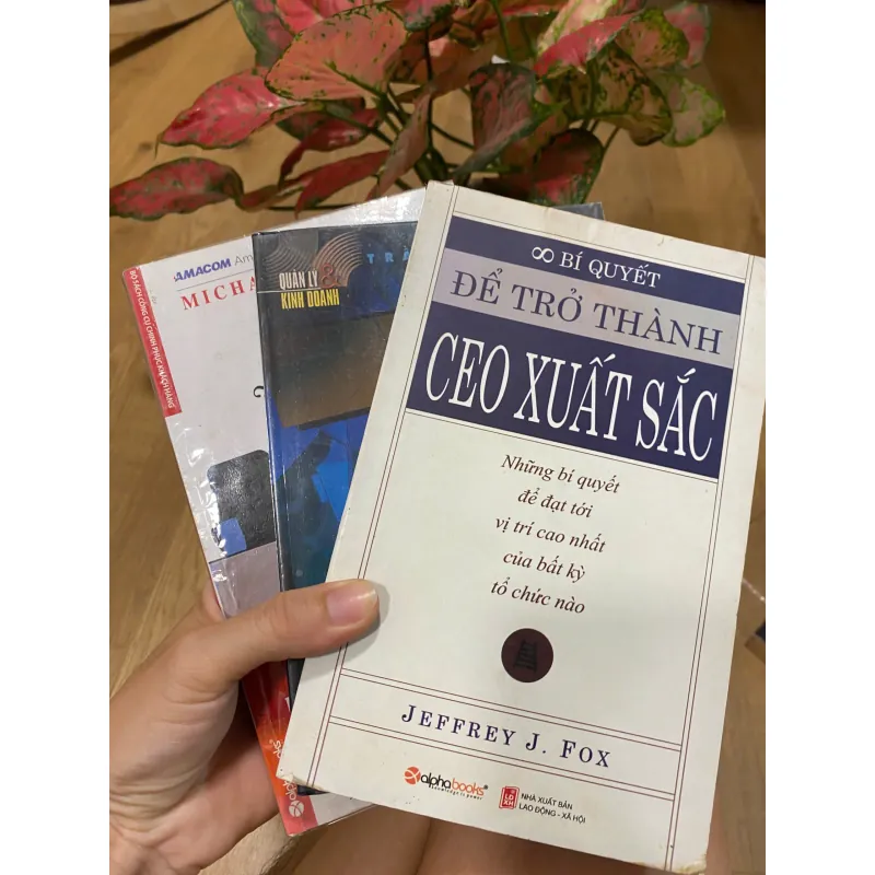 Combo Để trở thành CEO xuất sắc, Quyết đoán trong kinh doanh 717834