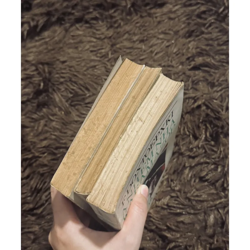 Combo Dos: Anh em Karamazov + Đêm Trắng (bao cấp) 1024184