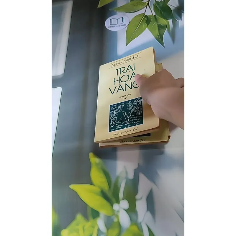 Trọn bộ Trại hoa vàng (4 tập) 607740