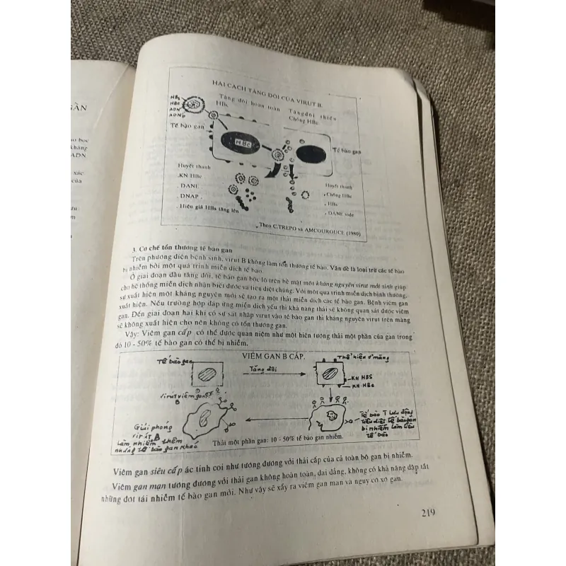 Bài giảng huyết học và truyền máu - hơn 200 trang, khổ lớn  750246