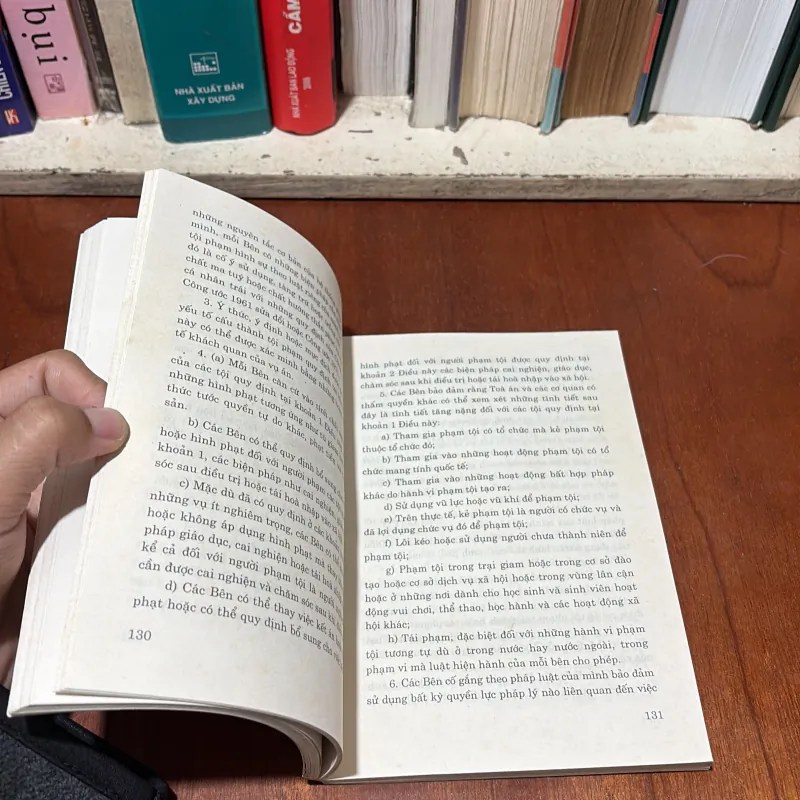 Sách Luật: Trách Nhiệm Hình Sự Đối Với Các Tội Phạm Về Ma Tuý - TS. Trần Văn Luyện - 2000 748203