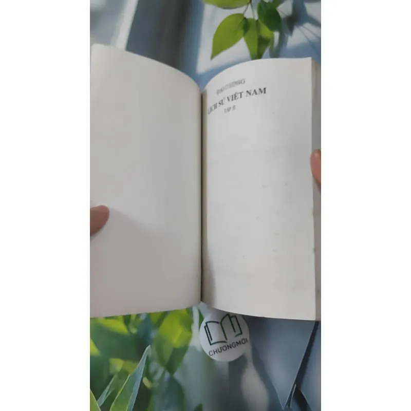Đại Cương Lịch Sử Việt Nam 2 - Đinh Xuân Lâm 970272