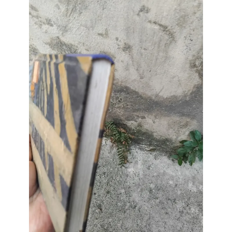 Ngọn lửa Nga tập thơ của Nikolai Rubtsov 1003435