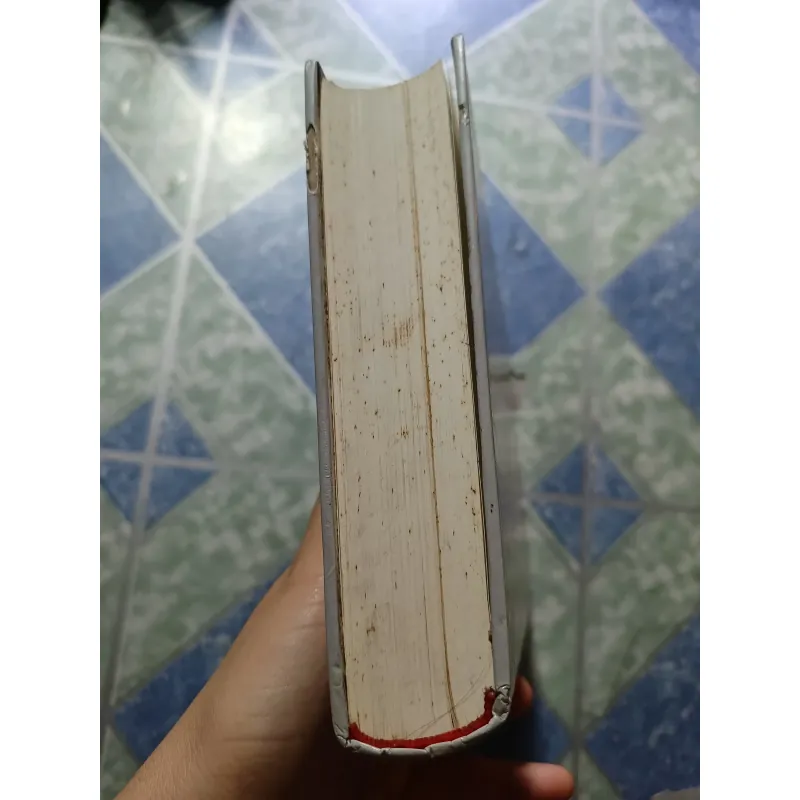 Từ điển nghệ thuật hát bội Việt Nam - Nguyễn Lộc 997350