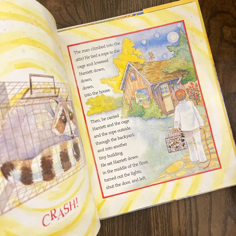 ✨𝑯𝒂𝒓𝒓𝒊𝒆𝒕𝒕 𝒕𝒉𝒆 𝑯𝒐𝒎𝒆𝒍𝒆𝒔𝒔 𝑹𝒂𝒄𝒄𝒐𝒐𝒏✨ 693070