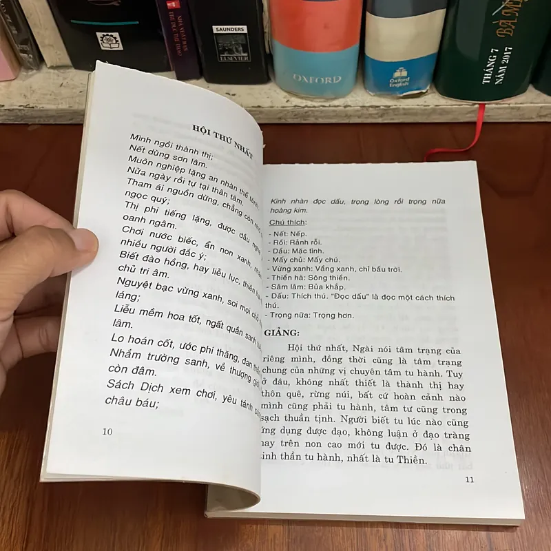 II Tựa sách: Nửa Ngày Của Thái Thượng Hoàng - Thích Nhật Quang - 2010 562187