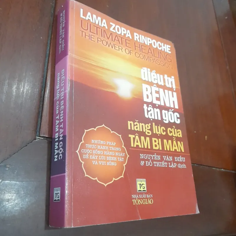 Lama Zopa Rinpoche - ĐIỀU TRỊ BỆNH TẬN GỐC năng lực của TÂM BI MẪN 675524