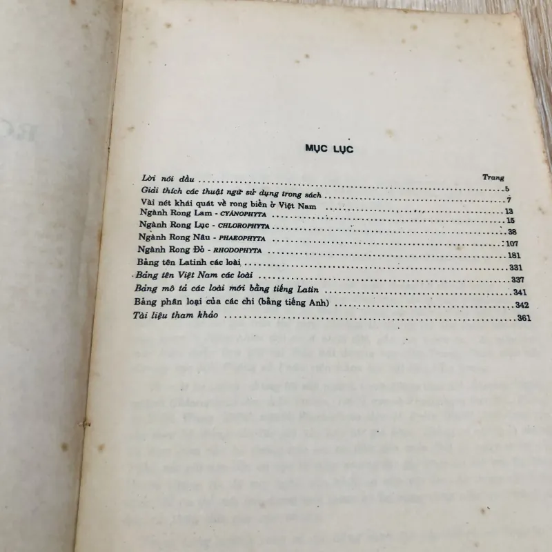 RONG BIỂN VIỆT NAM ( Phần phía Bắc) 956975