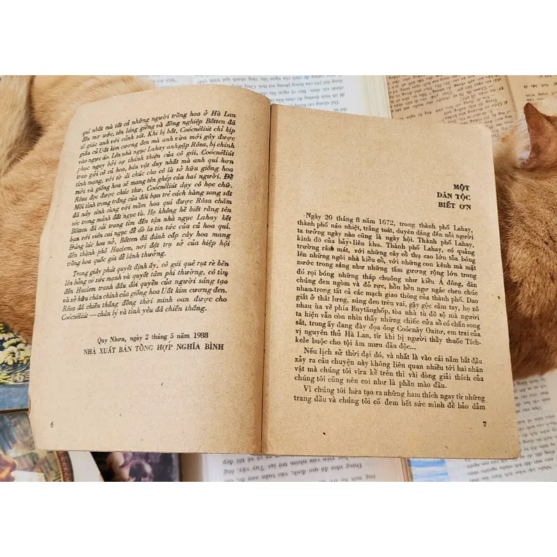 Alexandre Dumas cha - HOA UẤT KIM CƯƠNG ĐEN 703486